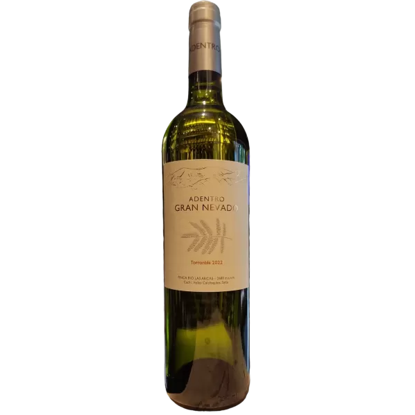 Adentro Gran Nevado Torrontes