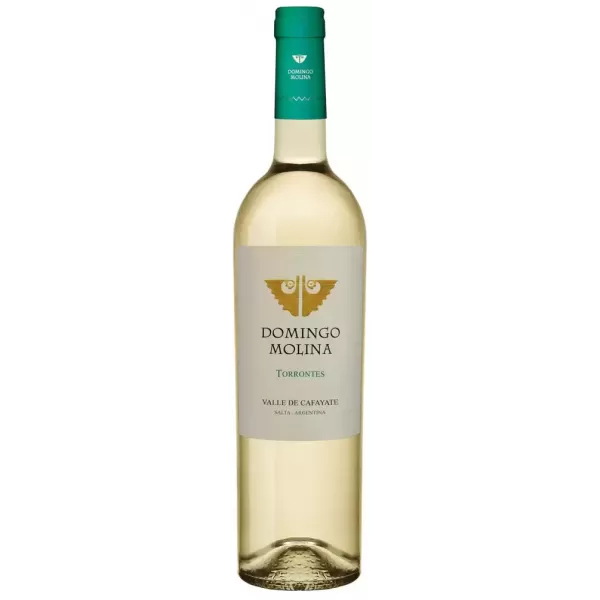 Domingo Molina Torrontes