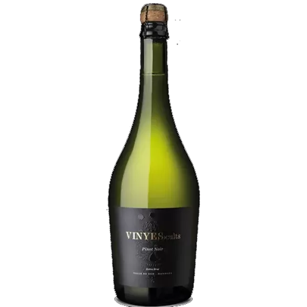 Vinyes Ocults Extra Brut