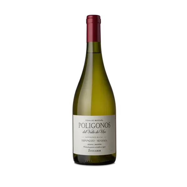 Zuccardi Poligonos Sauvignon Blanc Tupungato