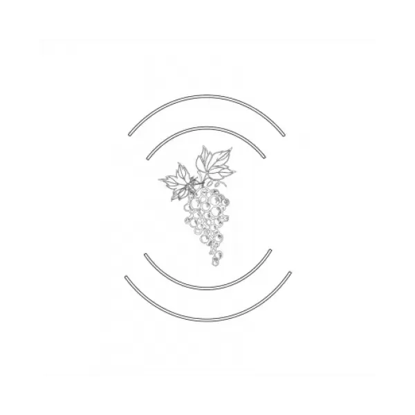 4 Pasos Sauvignon Blanc