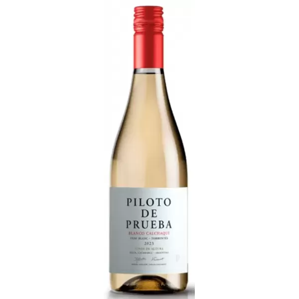 Piloto De Prueba Blanco Calchaqui
