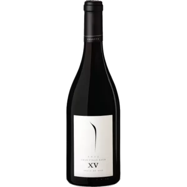 Pulenta Estate Gran Pinot Noir (Xv)