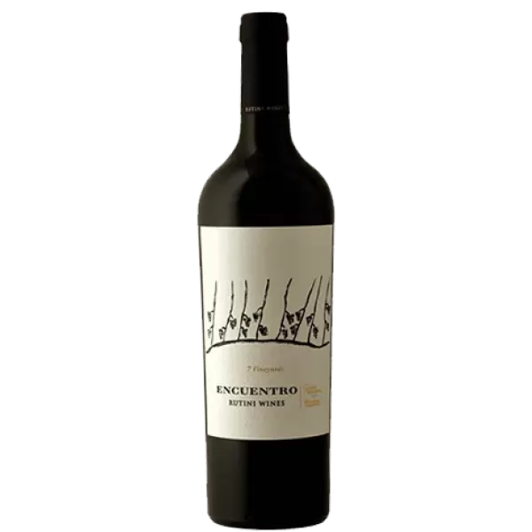 Encuentro 7 Vineyard